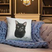 Load image into Gallery viewer, Black Cat Pillow’s
