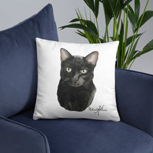 Load image into Gallery viewer, Black Cat Pillow’s
