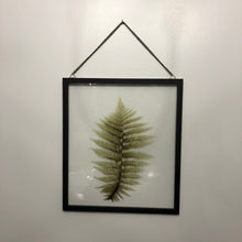 Load image into Gallery viewer, Fern painted on glass
