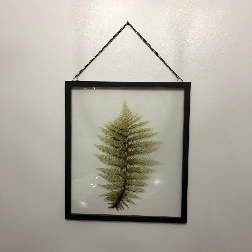 Fern painted on glass